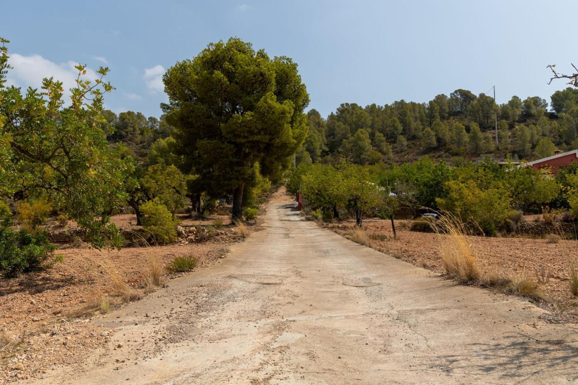 Finca El Escondite Olocau Esterno foto